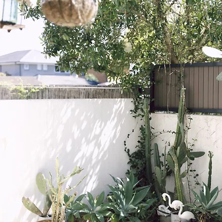 'The Lumos' Designer Home Close To Olympic Park Sydney Exterior photo
